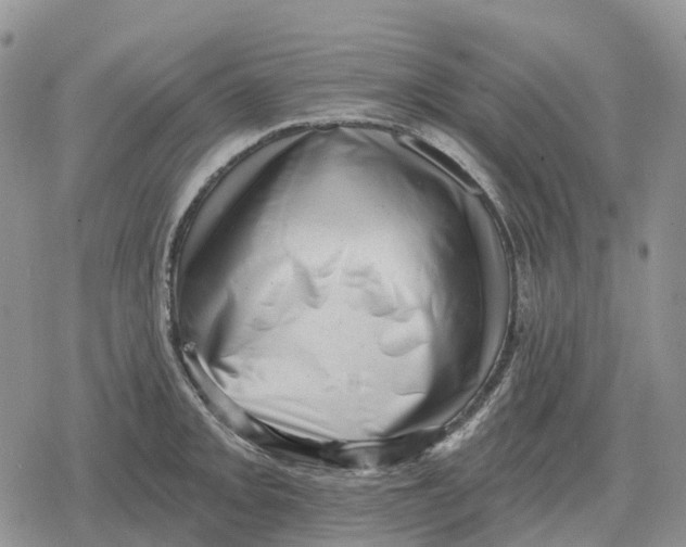 X0000078291093200611251437