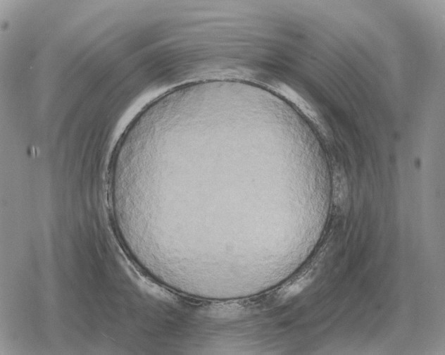 X0000078291094200611251437