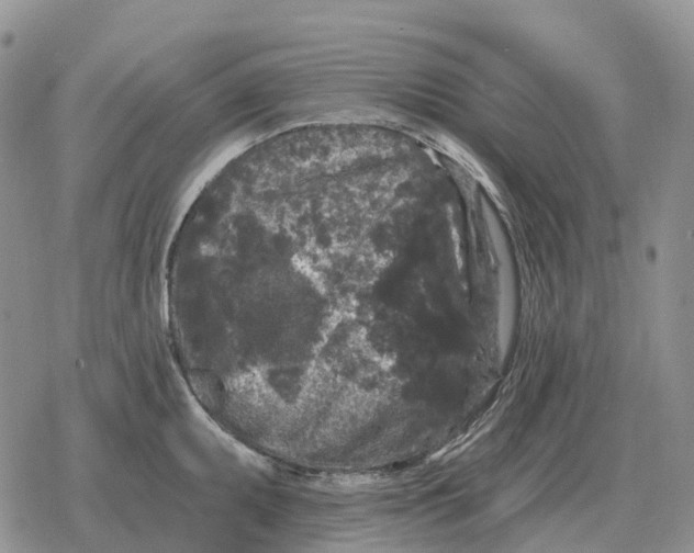 X0000078291095200611251437