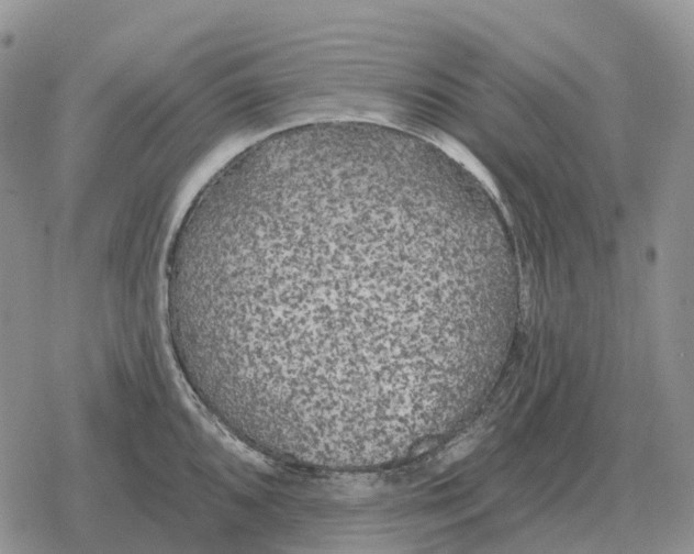 X0000078291096200611251437