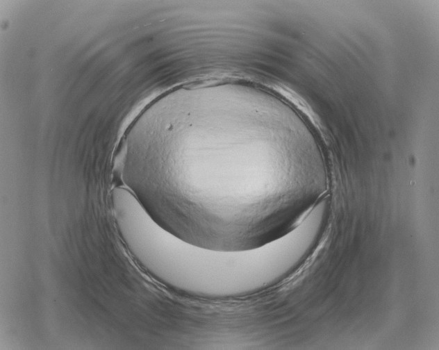 X0000078291097200611251437