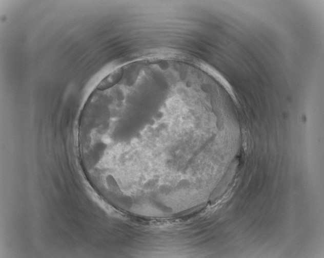 X0000078291099200611251437