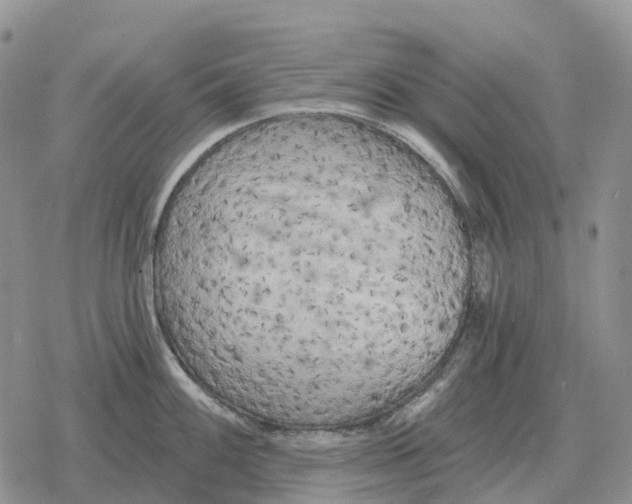 X0000078291100200611251437