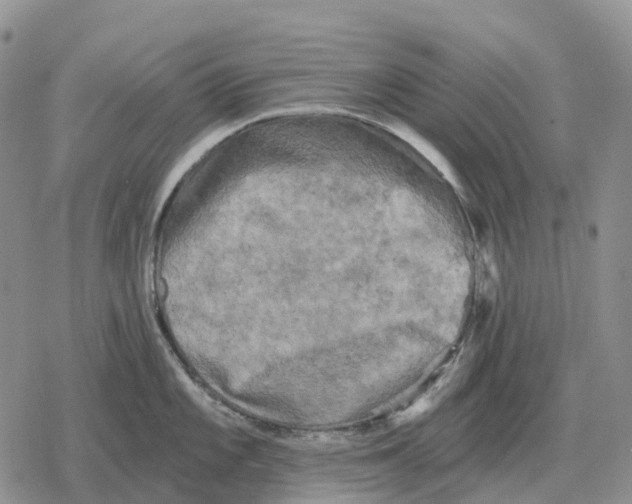 X0000078291101200611251437