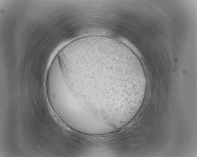 X0000078291104200611251437