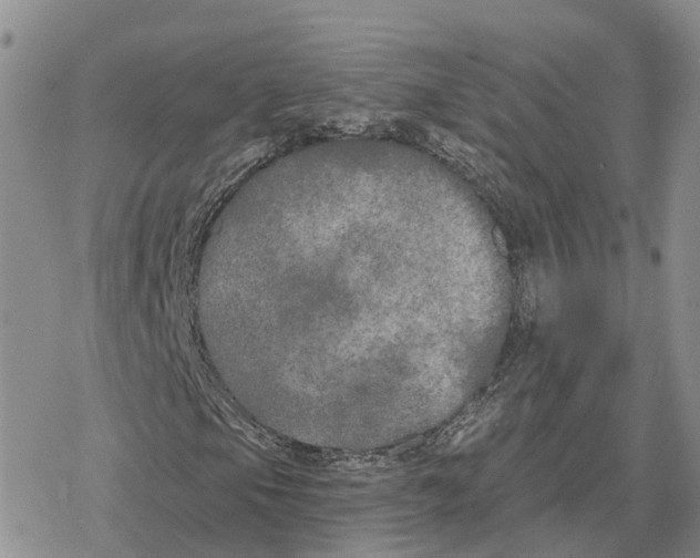 X0000078291105200611251436