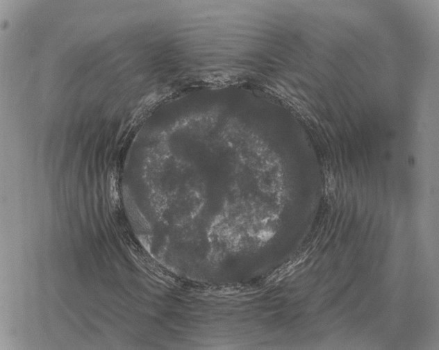 X0000078291106200611251436