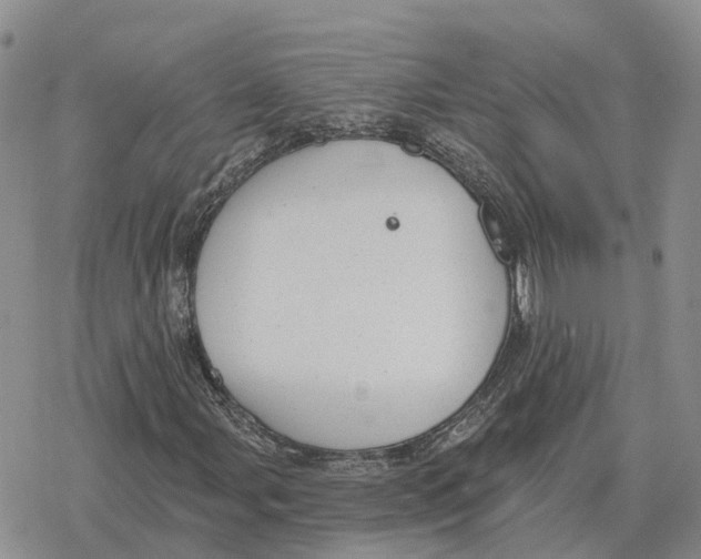 X0000078291107200611251436