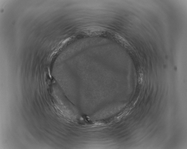 X0000078291108200611251436