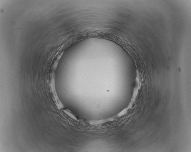 X0000078291109200611251436