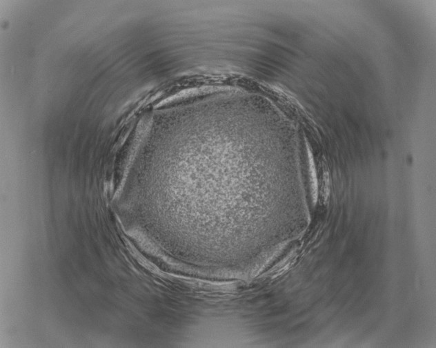 X0000078291110200611251436