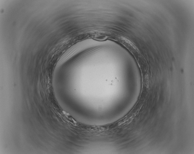 X0000078291111200611251436