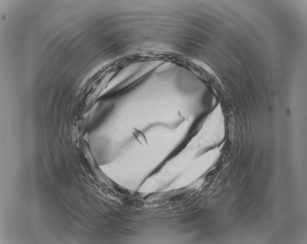 X0000078291112200611251436