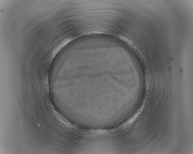 X0000078291113200611251436