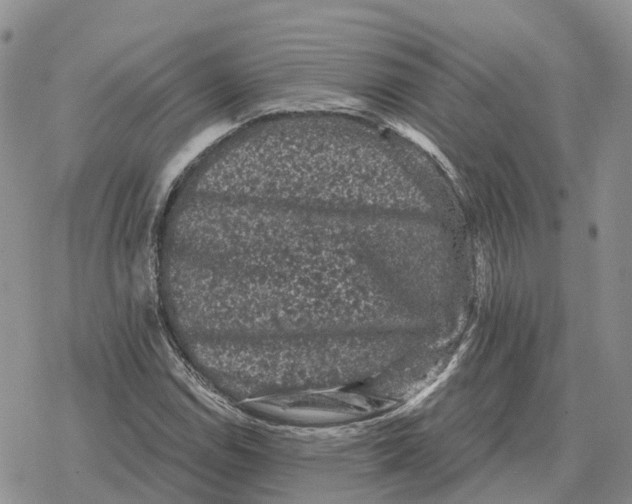 X0000078291114200611251436