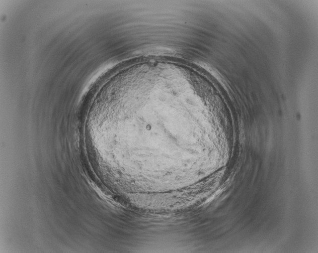 X0000078291115200611251436