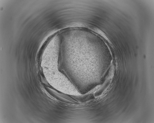 X0000078291116200611251436