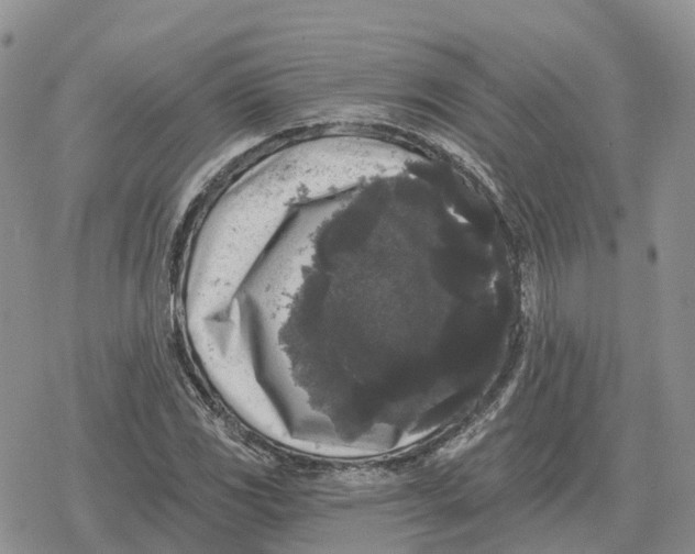 X0000078291117200611251436