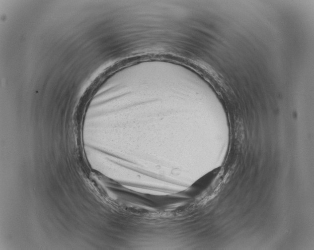 X0000078291118200611251436