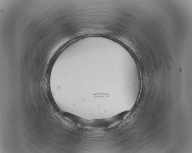 X0000078291119200611251436