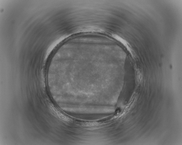 X0000078291120200611251436