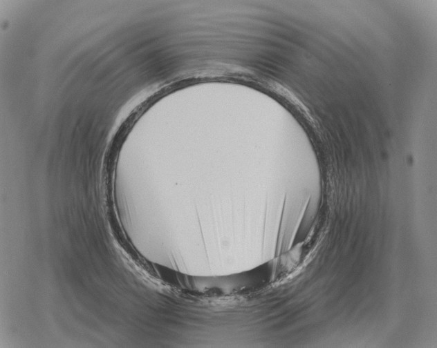 X0000078291122200611251436