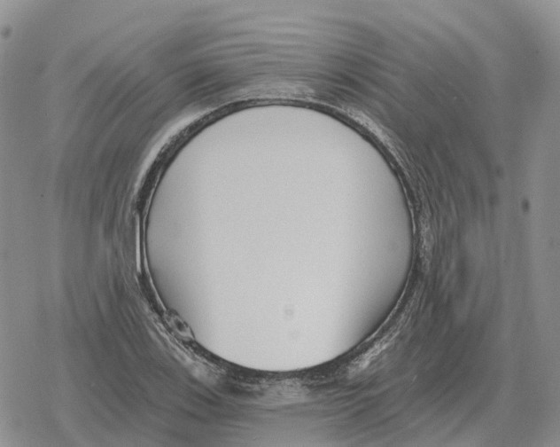 X0000078291123200611251436