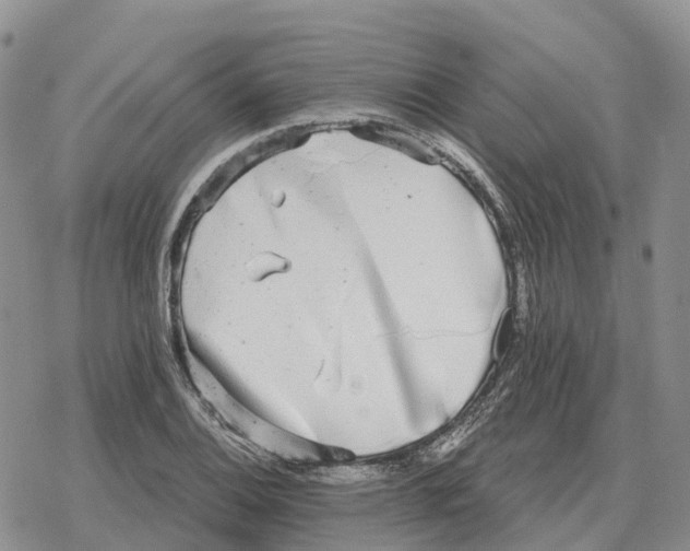 X0000078291124200611251436