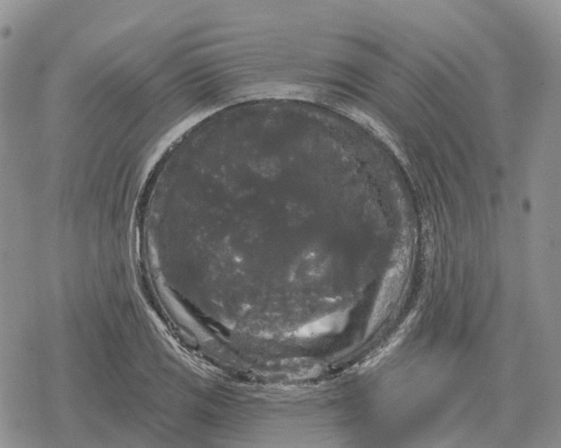 X0000078291125200611251436