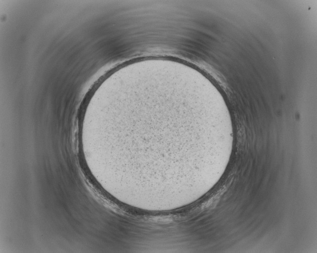 X0000078291126200611251436