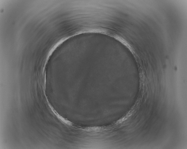 X0000078291127200611251436