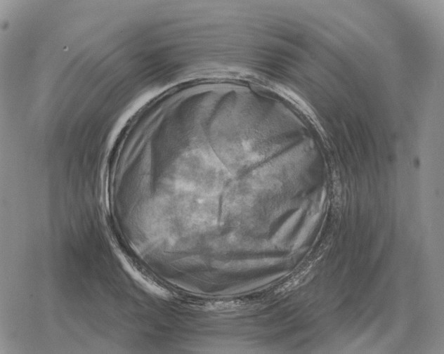 X0000078291128200611251436