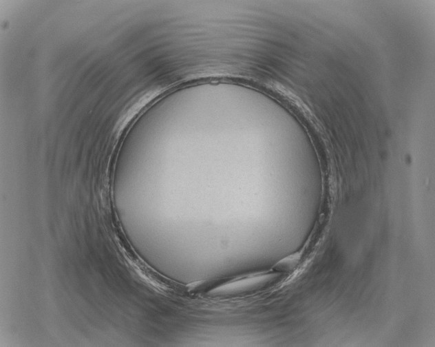 X0000078291129200611251436