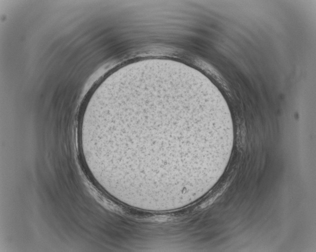 X0000078291130200611251436