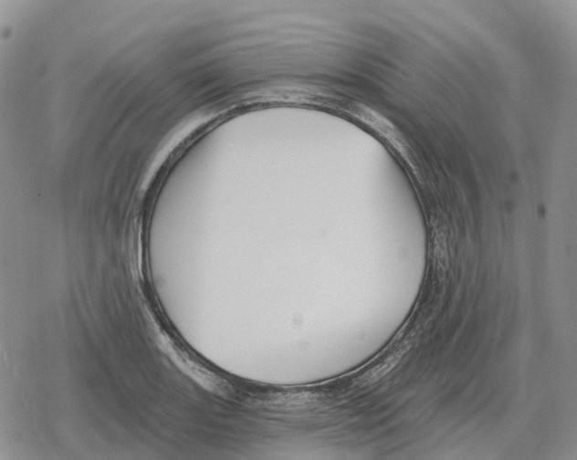 X0000078291131200611251436