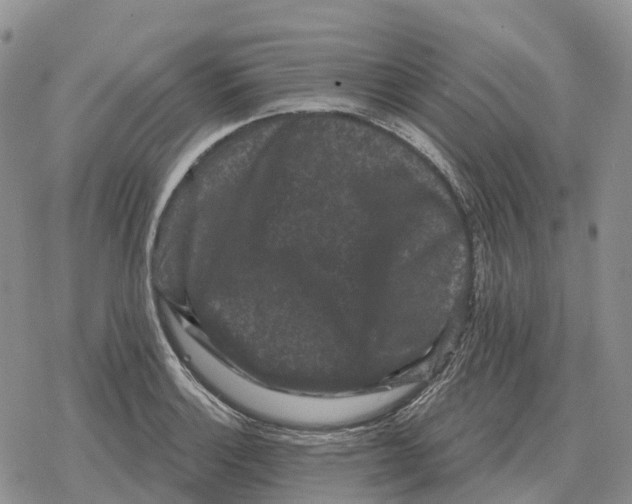 X0000078291132200611251436