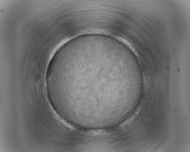 X0000078291133200611251436