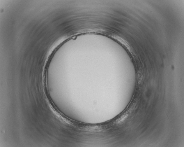 X0000078291135200611251436