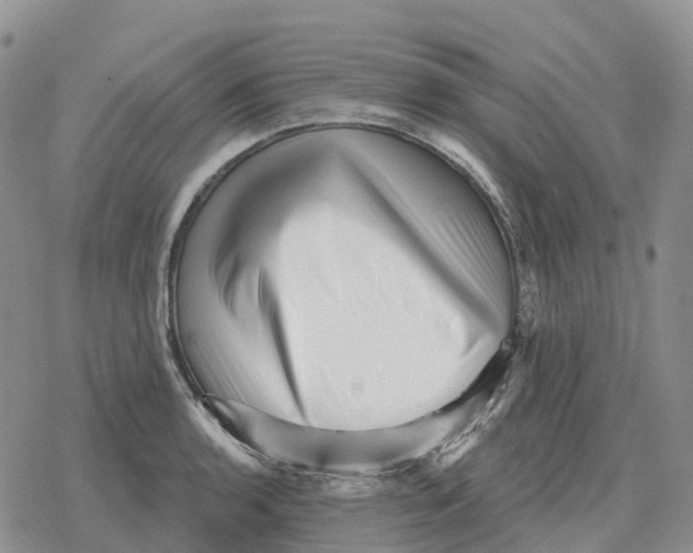 X0000078291136200611251436