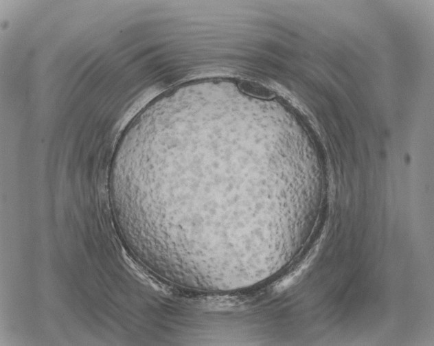 X0000078291137200611251436