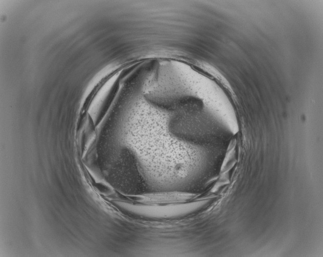 X0000078291138200611251436