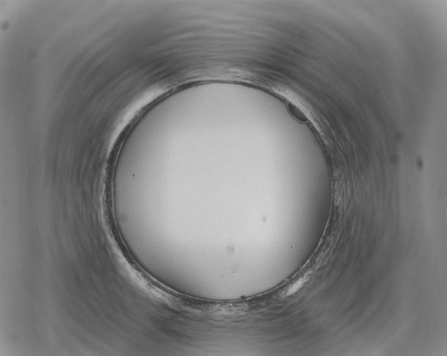 X0000078291139200611251436