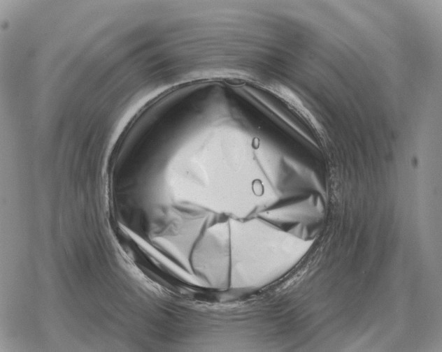 X0000078291140200611251437