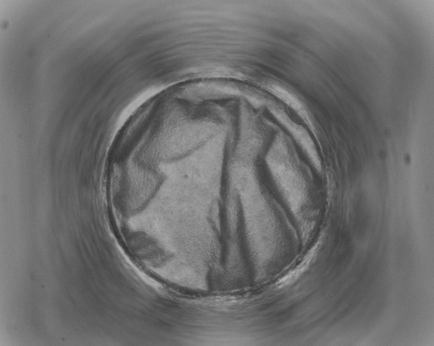 X0000078291141200611251437