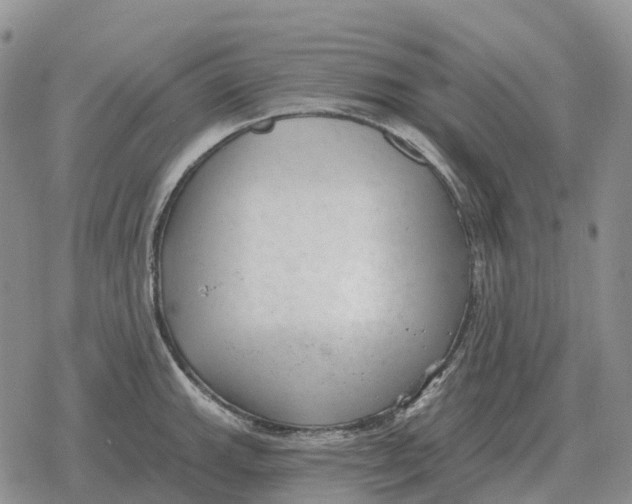 X0000078291143200611251437