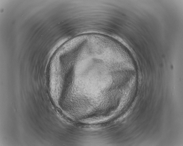 X0000078291145200611251437