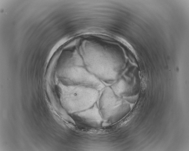 X0000078291146200611251437