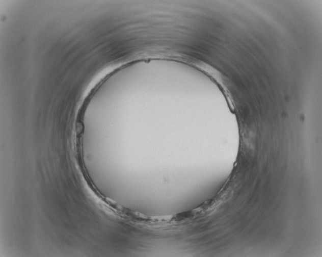 X0000078291147200611251437