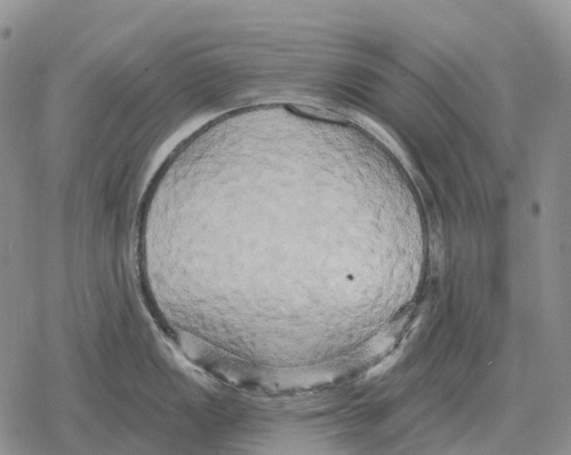 X0000078291149200611251437