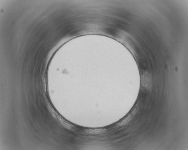 X0000078291150200611251437